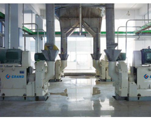 DTMT920 Embryo Removal Grinding Engineering Case